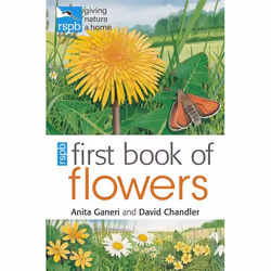 ISBN RSPB First Book of Flowers, Anglais, Livre broché, 48 pages