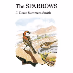 ISBN The Sparrows, Anglais, Couverture rigide, 352 pages