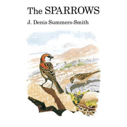 ISBN The Sparrows livre Anglais Couverture rigide 352 pages