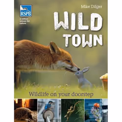 ISBN Wild Town, Anglais, Livre broché, 160 pages