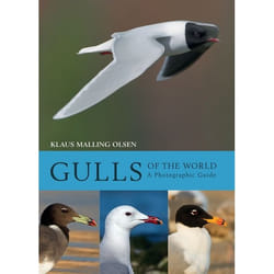 ISBN Gulls of the World (A Photographic Guide) Couverture rigide