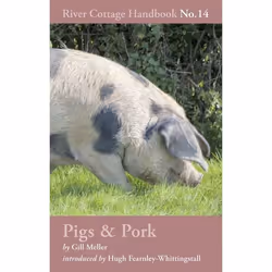 ISBN Pigs &amp; Pork (River Cottage Handbook No.14), Anglais, Couverture rigide, 256 pages