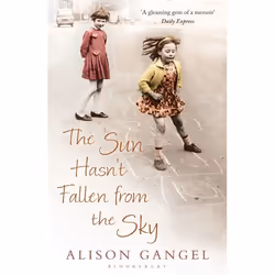 ISBN The Sun Hasn't Fallen From the Sky, Anglais, Livre broché, 256 pages