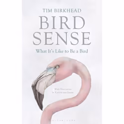 ISBN Bird Sense (What It's Like to Be a Bird), Anglais, Livre broché, 288 pages