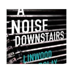 ISBN Noise Downstairs livre Détective Anglais