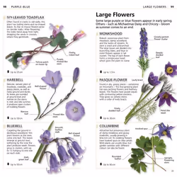 ISBN What's that Flower? livre maison & jardin Anglais