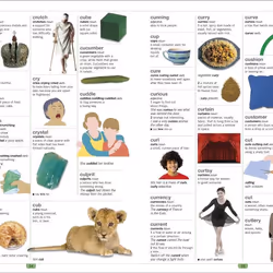 ISBN Children's Illustrated Dictionary livre référence & langage Anglais Couverture rigide