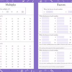 ISBN Maths Made Easy Ages 8-9 Key Stage 2 Beginner livre Mathématiques Anglais