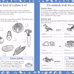 ISBN Science Made Easy Ages 5–6 Key Stage 1 livre Science & nature Anglais