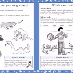 ISBN Science Made Easy Ages 5–6 Key Stage 1 livre Science & nature Anglais