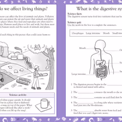 ISBN Science Made Easy Ages 8–9 Key Stage 2 livre Science & nature Anglais