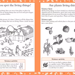 ISBN Science Made Easy Ages 6–7 Key Stage 1 livre Science & nature Anglais