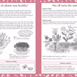 ISBN Science Made Easy Ages 7–8 Key Stage 2 livre Science & nature Anglais