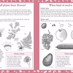 ISBN Science Made Easy Ages 7–8 Key Stage 2 livre Science & nature Anglais