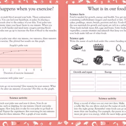 ISBN Science Made Easy Ages 10–11 Key Stage 2 livre Science & nature Anglais