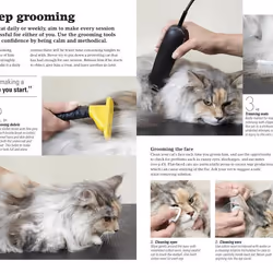 ISBN Complete Cat Care livre Education Anglais