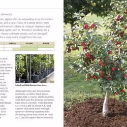 ISBN RHS Grow Fruit and Veg Guide livre maison & jardin Anglais
