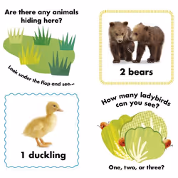 ISBN Animal Counting livre enfants & adolescents Anglais Couverture rigide