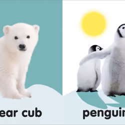 ISBN Baby Touch and Feel Fluffy Animals livre enfants & adolescents Anglais Couverture rigide