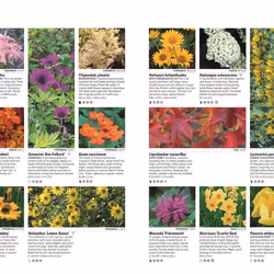 ISBN RHS What Plant Where Encyclopedia livre maison & jardin Anglais Couverture rigide