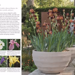 ISBN RHS What Plant Where Encyclopedia livre maison & jardin Anglais Couverture rigide