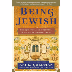 ISBN Being Jewish, Anglais, Livre de poche, 288 pages