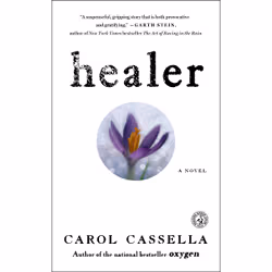 ISBN Healer, Anglais, Livre de poche, 320 pages