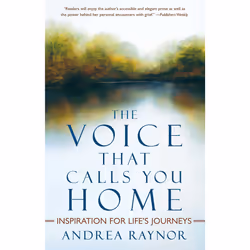ISBN The Voice That Calls You Home, Anglais, Livre de poche, 288 pages