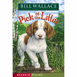 ISBN Pick of the Litter, Anglais, Livre de poche, 176 pages