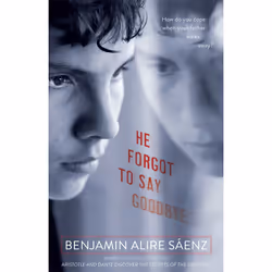 ISBN He Forgot to Say Goodbye, Anglais, Livre de poche, 352 pages