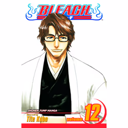 ISBN Bleach, Vol. 12, Anglais, Livre de poche, 208 pages