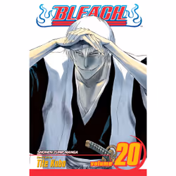 ISBN Bleach, Vol. 20, Anglais, Livre de poche, 216 pages