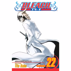 ISBN Bleach, Vol. 22, Anglais, Livre de poche, 216 pages