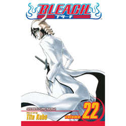 ISBN Bleach, Vol. 22 Livre de poche