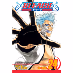 ISBN Bleach, Vol. 24, Anglais, Livre de poche, 208 pages