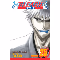 ISBN Bleach, Vol. 25, Anglais, Livre de poche, 210 pages