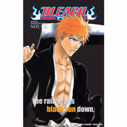 ISBN Bleach SOULs. Official Character Book, Anglais, Livre de poche, 328 pages