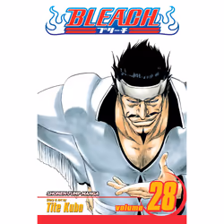 ISBN Bleach, Vol. 28, Anglais, Livre de poche, 200 pages