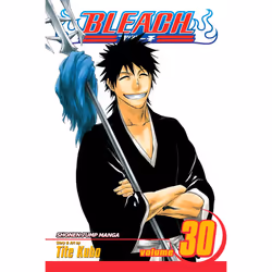 ISBN Bleach, Vol. 30, Anglais, Livre de poche, 192 pages