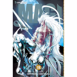 ISBN Magi: The Labyrinth of Magic, Vol. 18, Anglais, Livre de poche, 192 pages