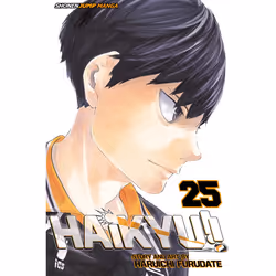 ISBN Haikyu!!, Vol. 25, Sport &amp; loisirs, Anglais, Livre broché, 184 pages