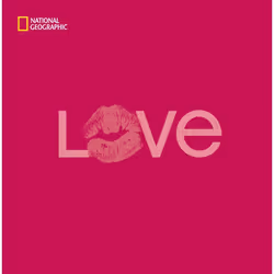 ISBN Love, Couverture rigide, 240 pages