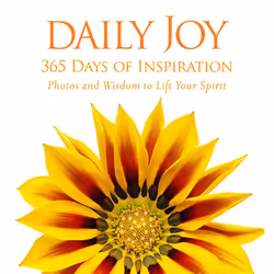 ISBN Daily Joy, Couverture rigide, 528 pages