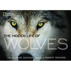 ISBN The Hidden Life of Wolves livre Couverture rigide
