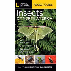 ISBN National Geographic Pocket Guide to Insects of North America, Livre broché, 184 pages