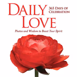 ISBN Daily Love, Couverture rigide, 464 pages