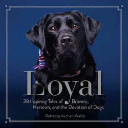 ISBN Loyal livre biographie Anglais Couverture rigide