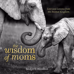 ISBN The Wisdom of Moms, Fiction, Anglais, Couverture rigide, 96 pages