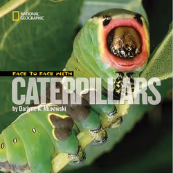 ISBN Face to Face with Caterpillars, Anglais, Couverture rigide, 32 pages
