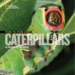 ISBN Face to Face with Caterpillars Couverture rigide